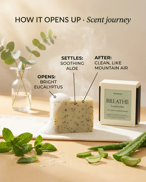 Scent profile of Eucalyptus Aloe soap: bright eucalyptus settling into soothing aloe and clean mountain air