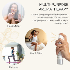 Energising Citrus Air Freshener