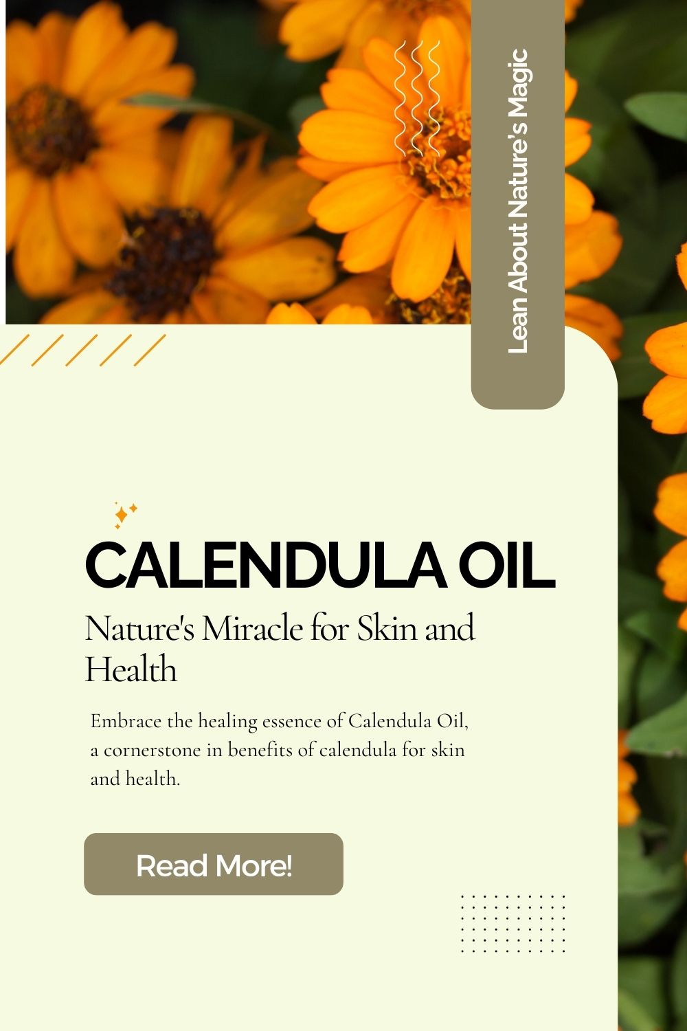 Calendula Oil in Monsuri's natural body care products.