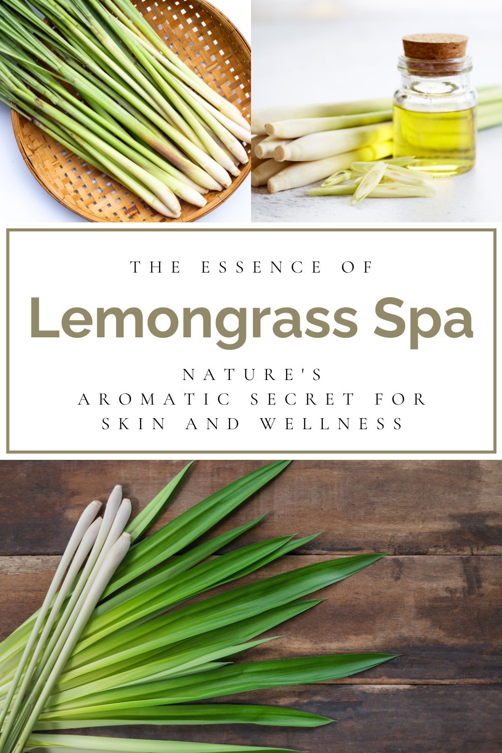 Natural lemongrass spa products by Monsuri for holistic care.