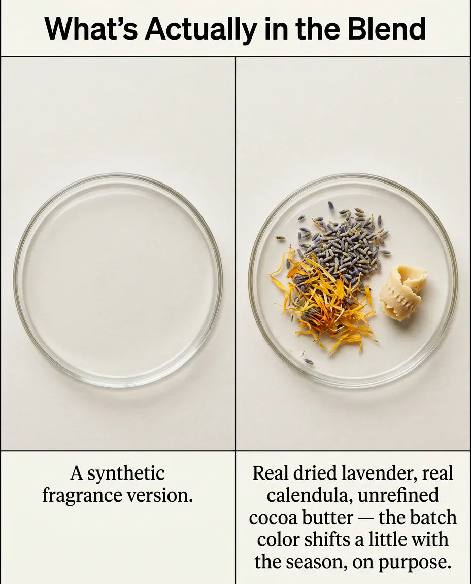What is actually in the blend: an empty dish standing in for a synthetic fragrance version, beside a dish of real dried lavender, real calendula and unrefined cocoa butter — the batch colour shifts a little with the season, on purpose.