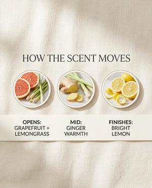 How the scent moves - it opens with grapefruit and lemongrass, runs through ginger warmth in the middle and finishes on bright lemon