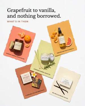 Grapefruit to vanilla, and nothing borrowed — what is in each piece, on five torn paper swatches: grapefruit, mandarin and coconut soy wax in the candle; grapefruit and citrus in carrier oil; lemongrass, rosemary and shea butter in the body butter; plumeria and citrus over amber-vanilla in the soap; and real vanilla with bicarb and citric fizz in the bath bomb.